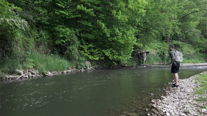 How to Go Fishing in Illinois