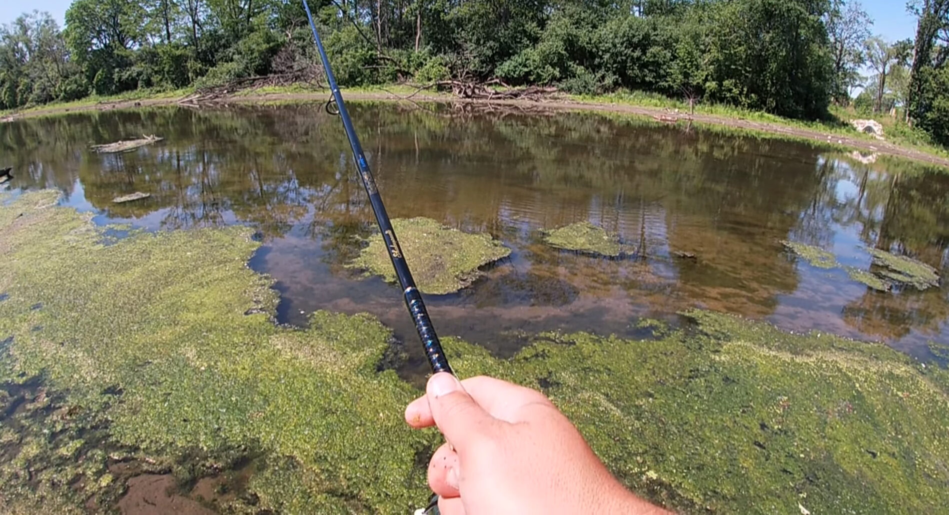 des plaines river illinois - best fishing spots