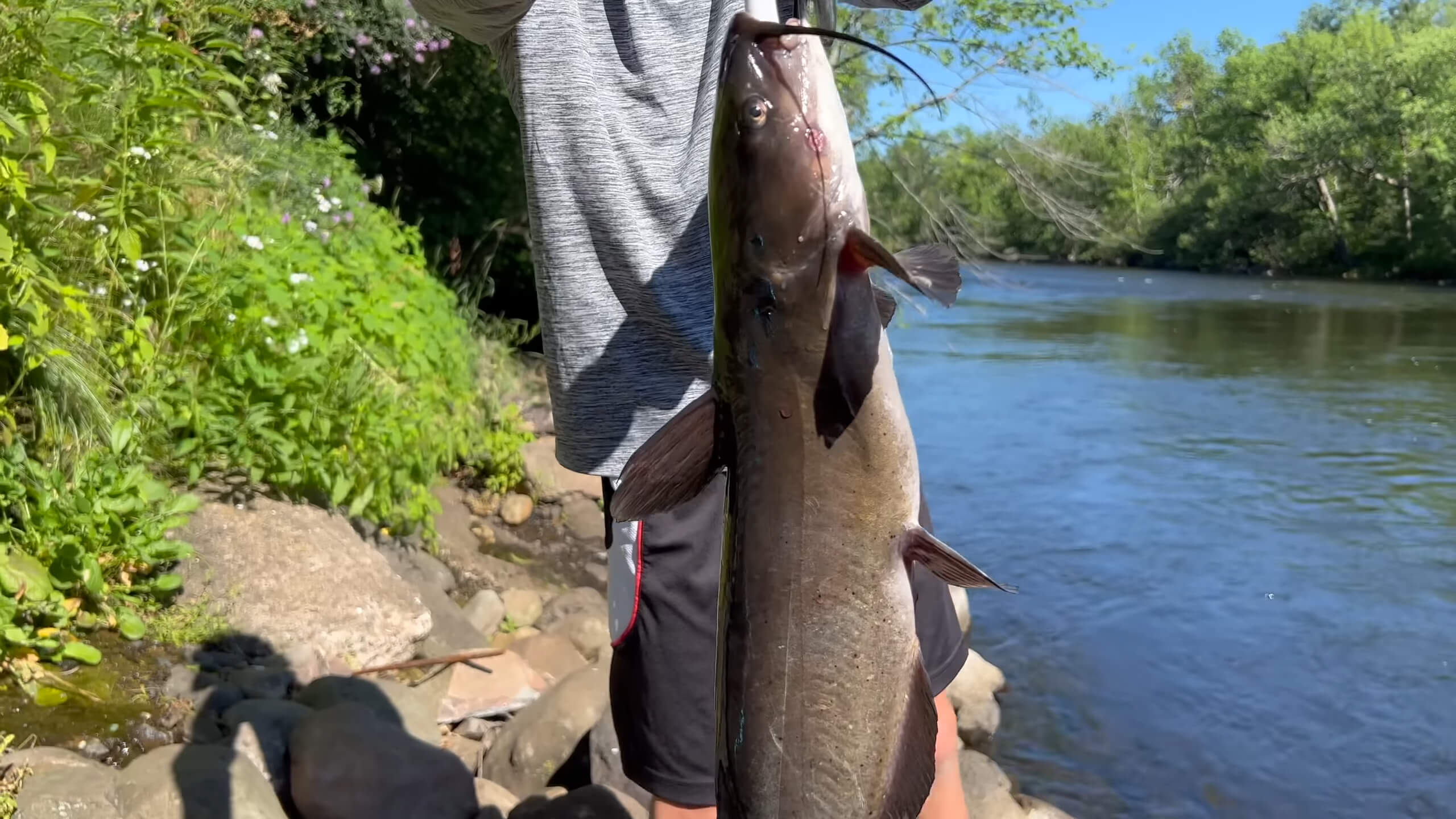 A child holding a caught Channel Catfish