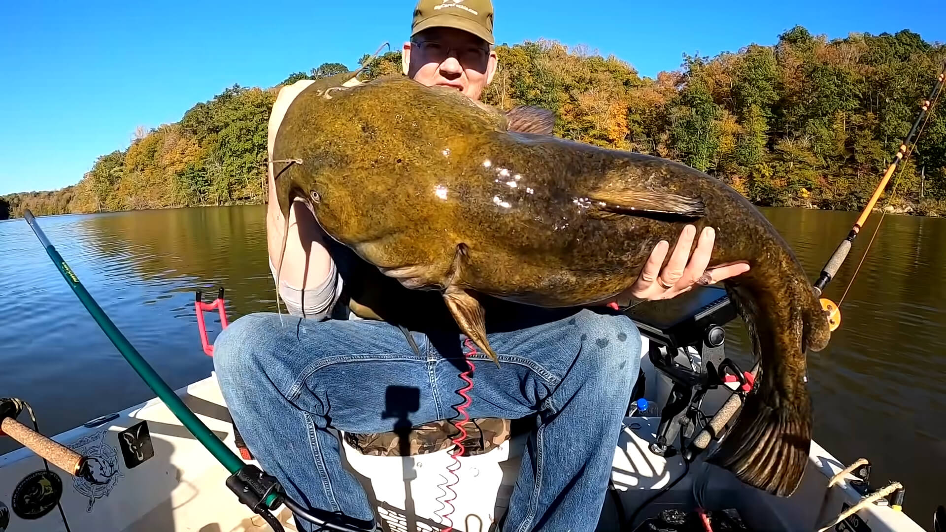 A fisherman holding a Flathead Catfish in his hands