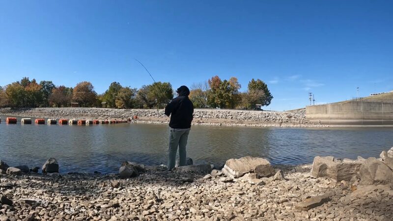 The Image Shows a Person Fishing on A Rocky Shoreline at Carlyle Lake During Autumn, with Colorful Fall Trees in The Background and A Clear Blue Sky Overhead