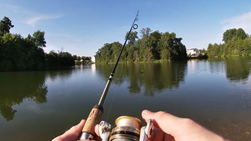 Fisherman Using a Spinning Rod and Reel to Fish for Bluegill with Crankbaits in A Calm Lake