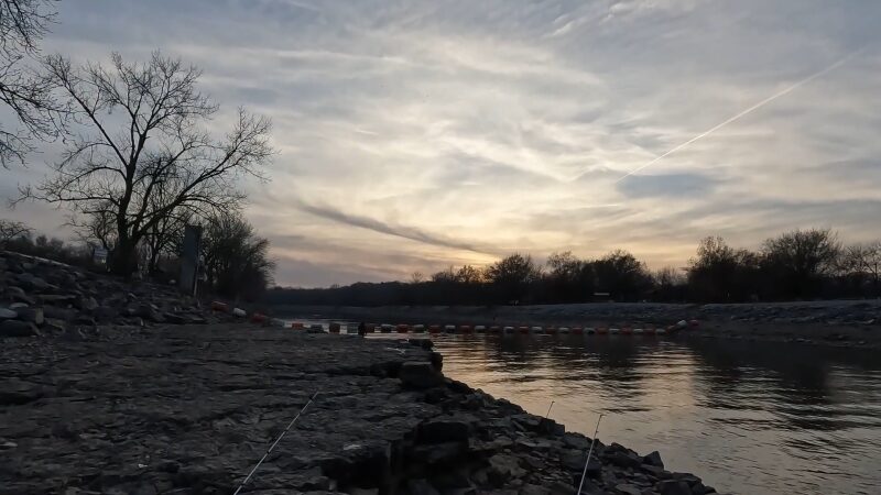 The Image Shows a Peaceful Shoreline of Carlyle Lake at Sunset