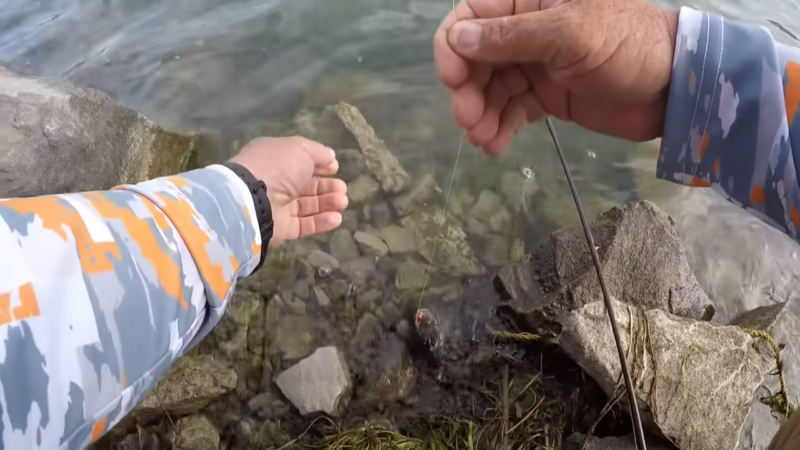 Easy Way To Catch Crappie For Dinner