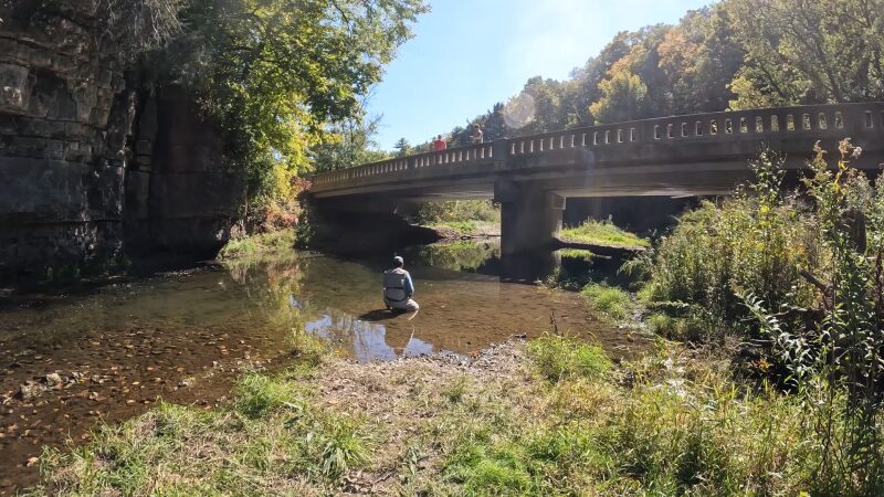 A Person Is Fishing While Sitting on A Rock in The Shallow Water Near a Bridge Surrounded by Lush Greenery at Apple Canyon Lake