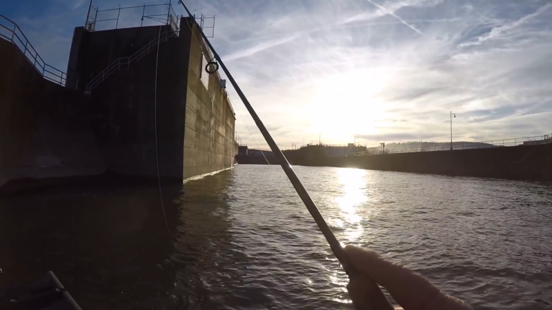 Fisherman Targeting Sauger Near a Dam, Casting Into a Deep Channel at Sunset