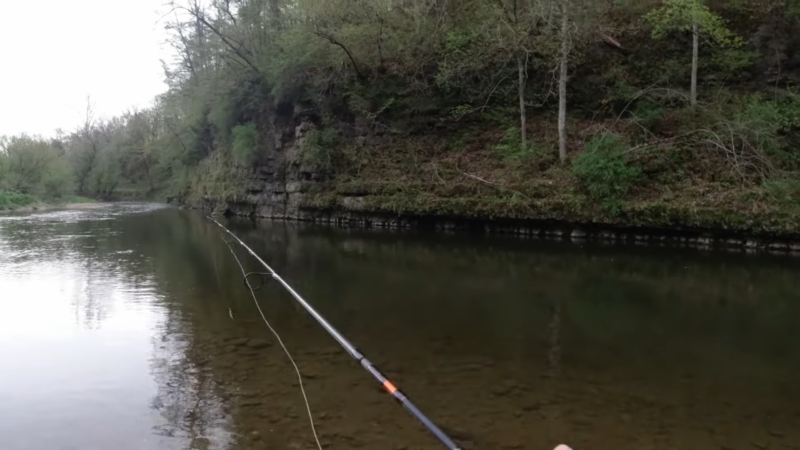 A Person Is Fishing with A Rod in A Calm, Narrow River Surrounded by Dense Greenery and Rocky Cliffs, Highlighting the Seasonal Fishing Opportunities at Apple Canyon Lake