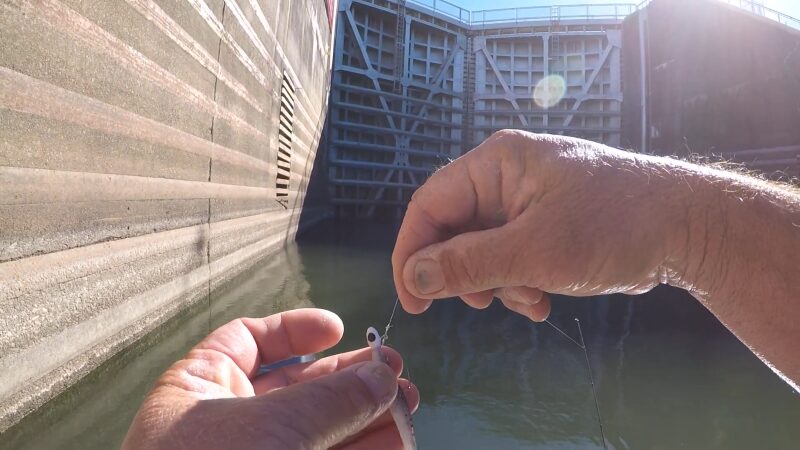 Hands Preparing a Fishing Lure Near a Water Gate, Ideal for Matching the Hatch in Sauger Fishing