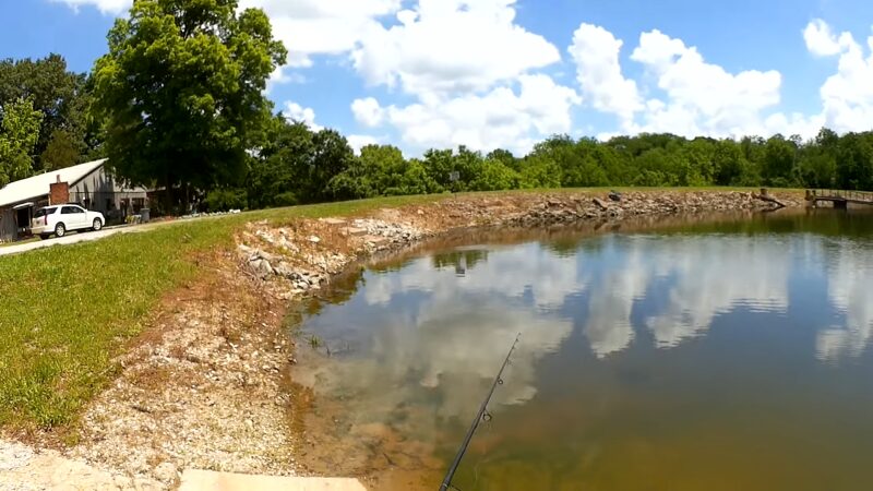 A Fishing Rod Extends Over a Serene, Secluded Pond with A Rock-Lined Shore and Lush Greenery Under a Clear Blue Sky