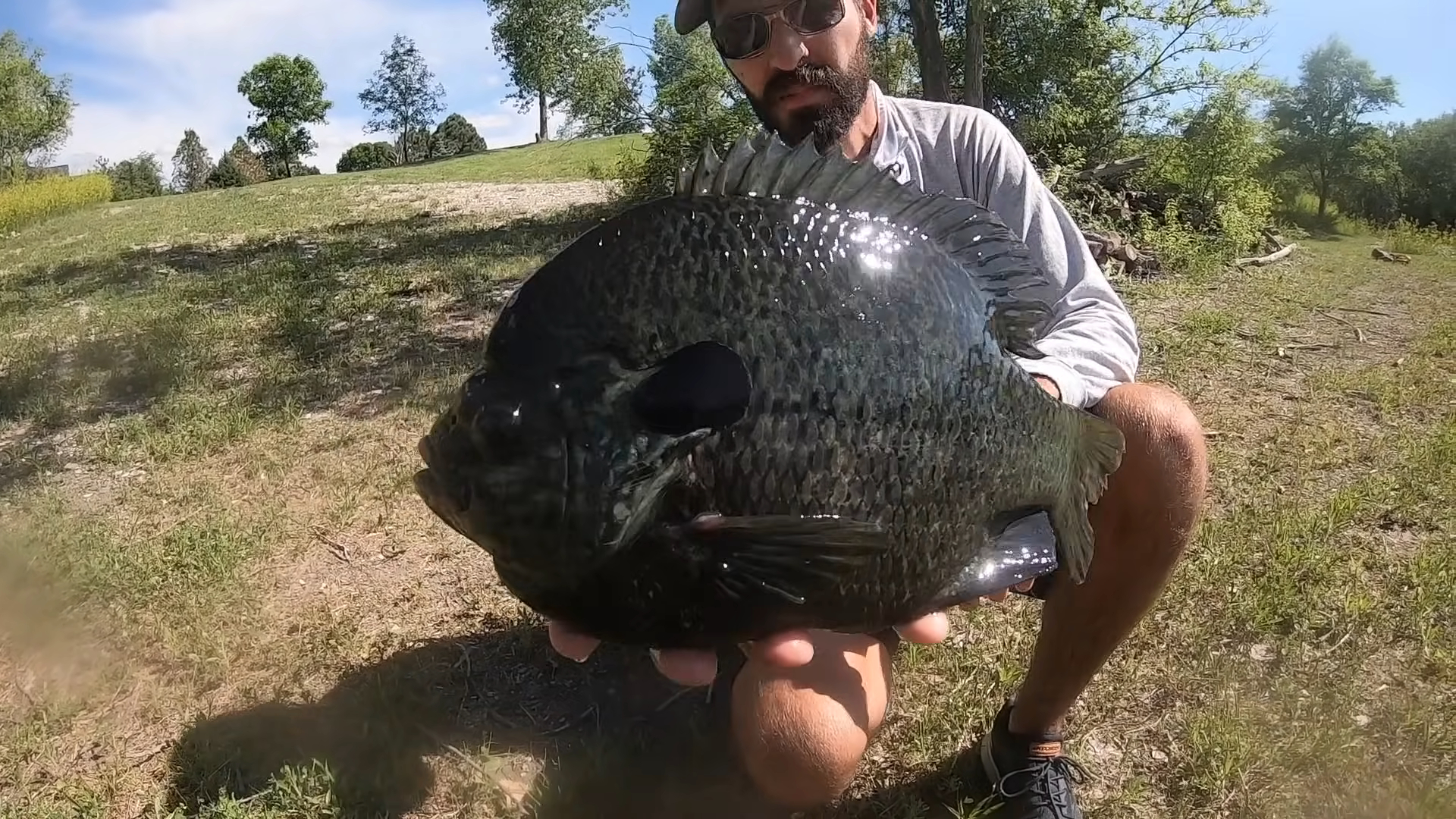 fisherman holds a large bluegill fish by the water’s edge, displaying its detailed scales and fins