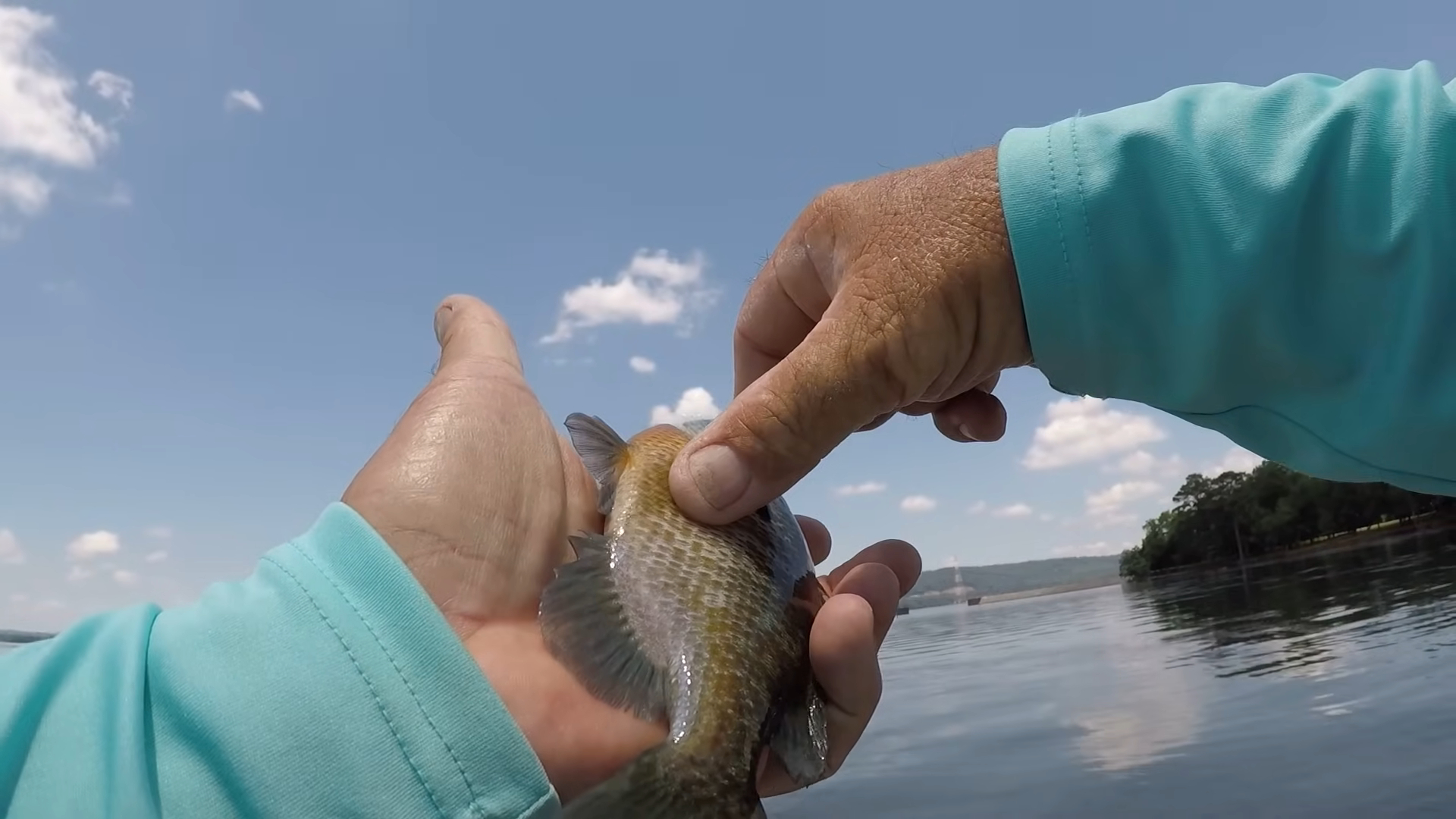 fisherman holds a bluegill fish by the water, with a background of clear blue skies and calm water