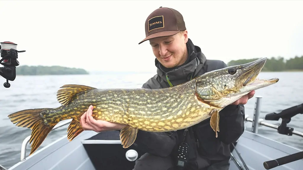 A man taking a photo with a fish in his hands