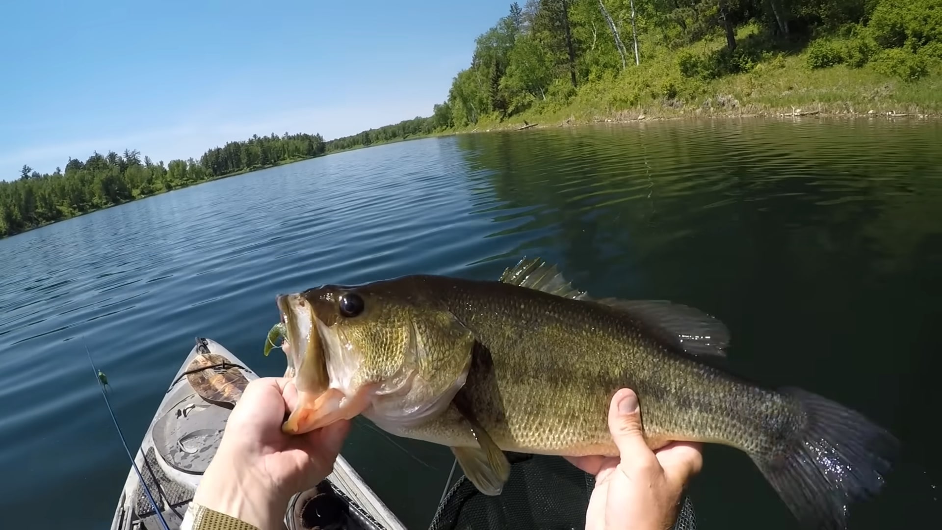 A person holding a largemouth bass caught while fishing from a kayak on a calm lake surrounded by green trees